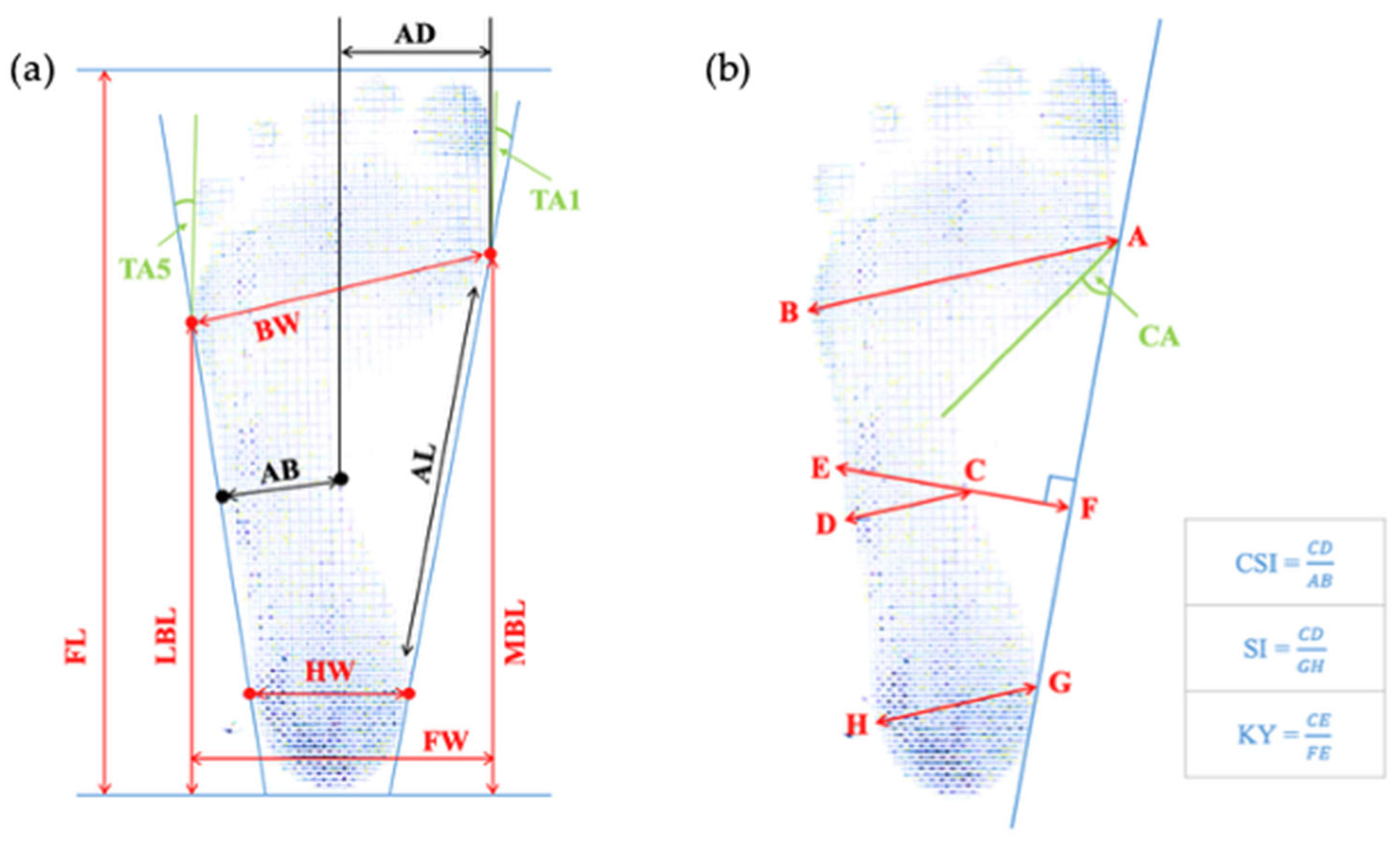 Applsci 15 11737 g001