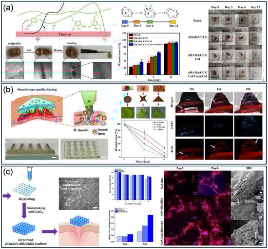 Applsci 15 11755 g016
