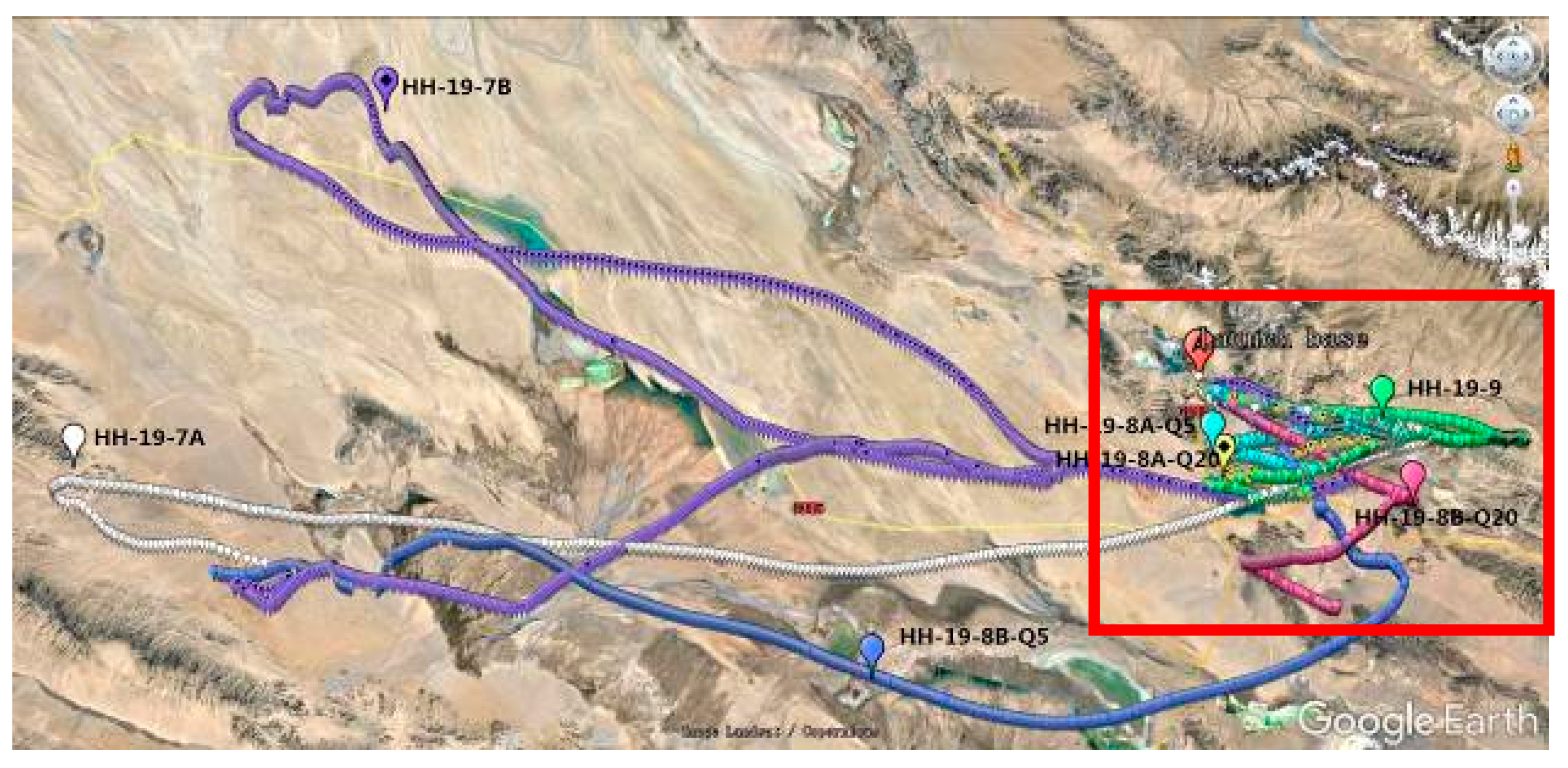 Applsci 15 11758 g010