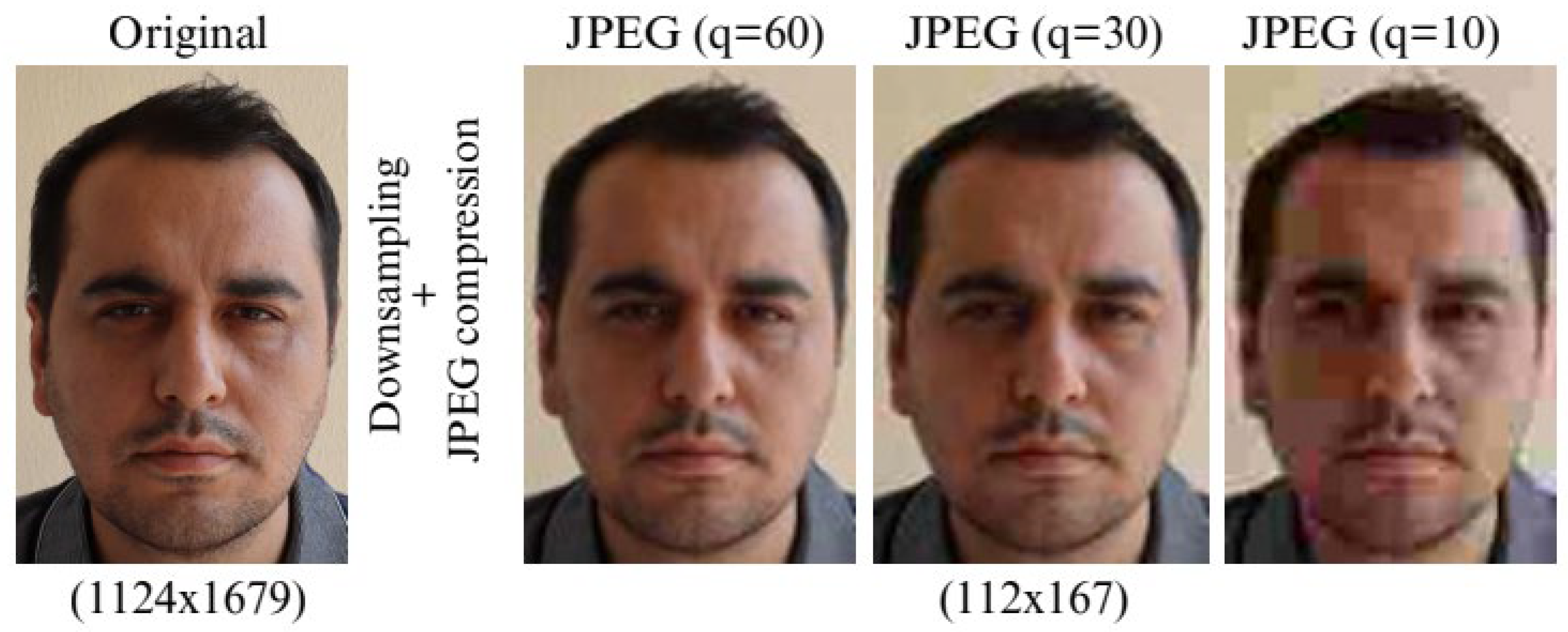 Applsci 15 11767 g005