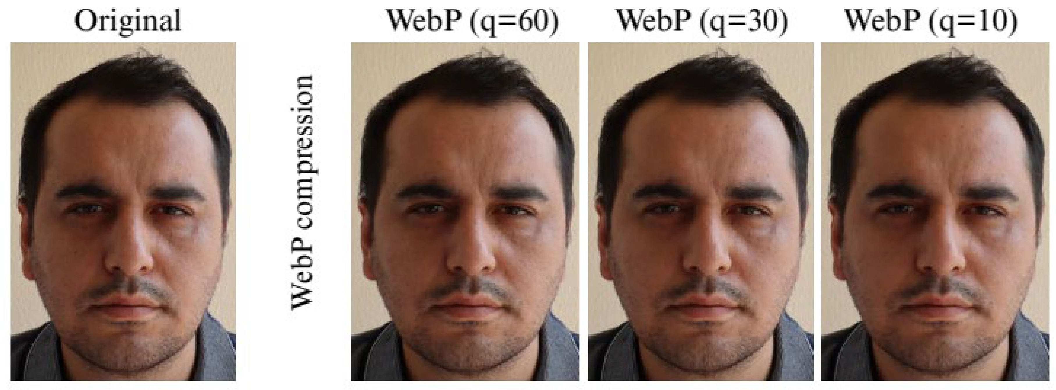 Applsci 15 11767 g006