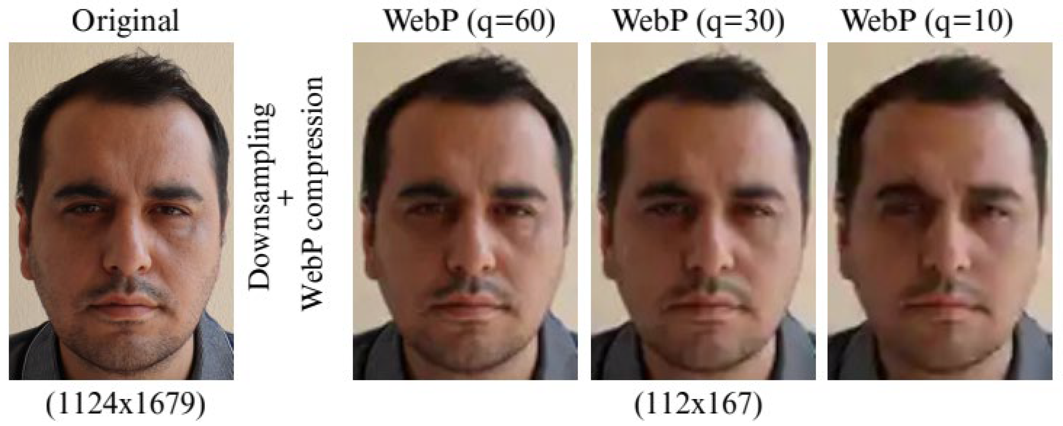 Applsci 15 11767 g007