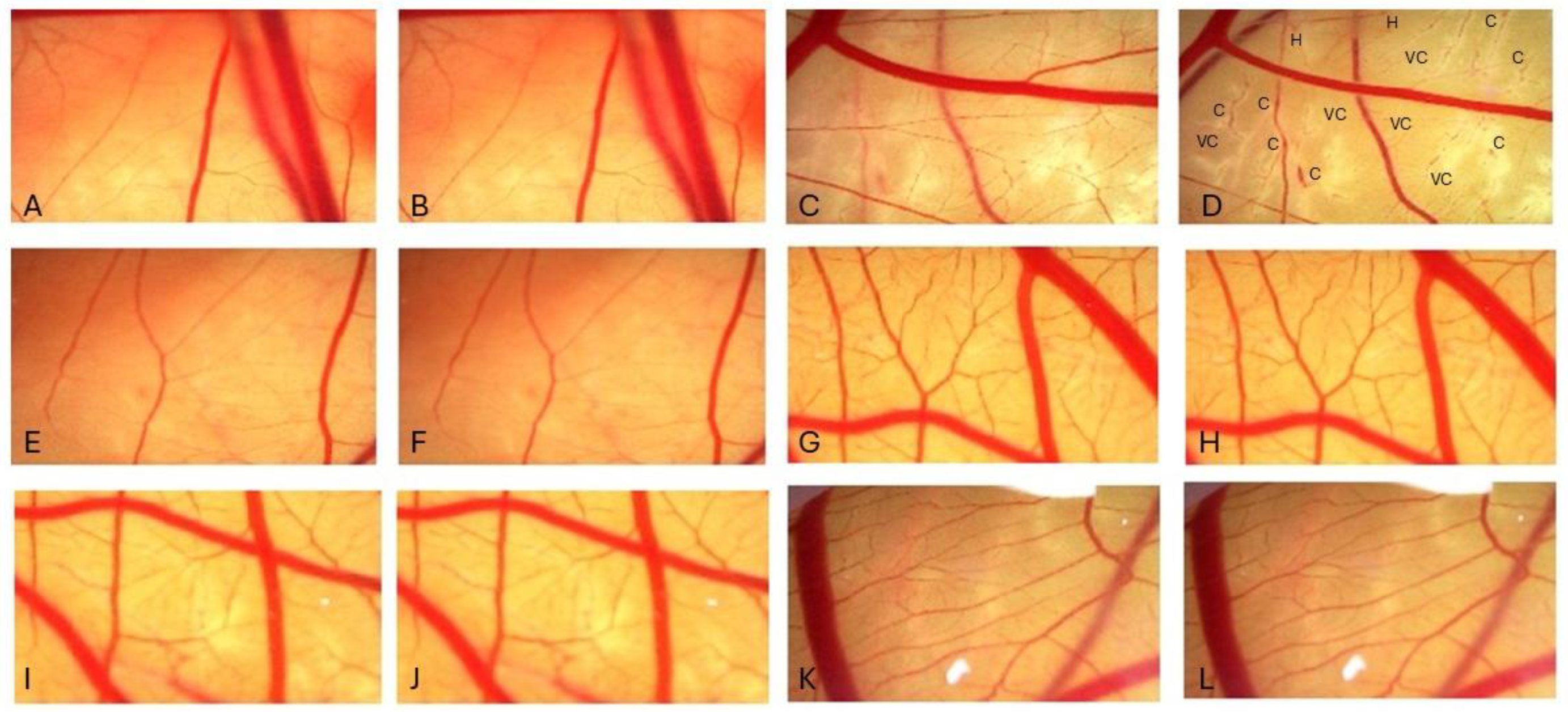 Applsci 15 11773 g002