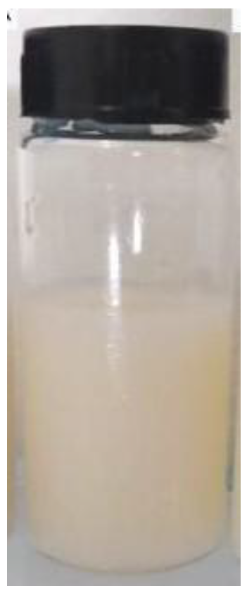 Applsci 15 11773 g003