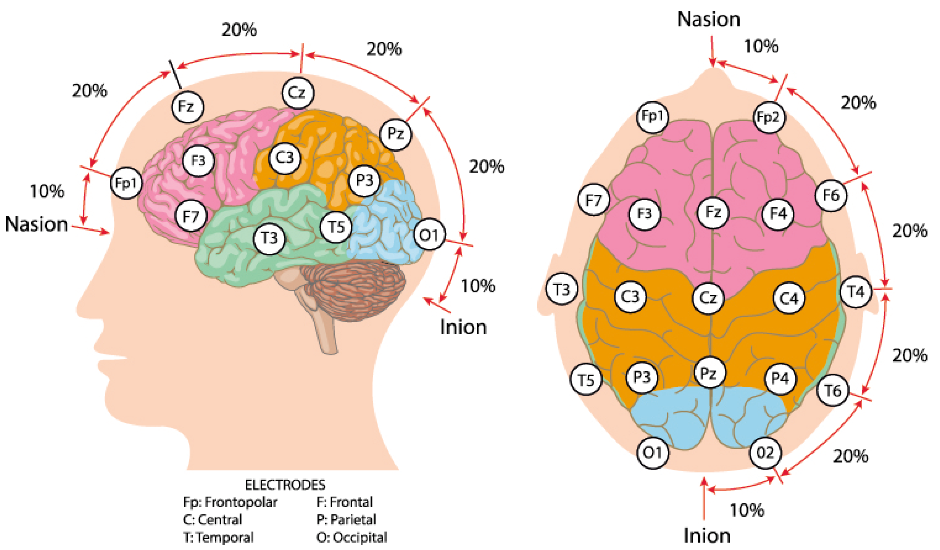 Applsci 15 11777 g002
