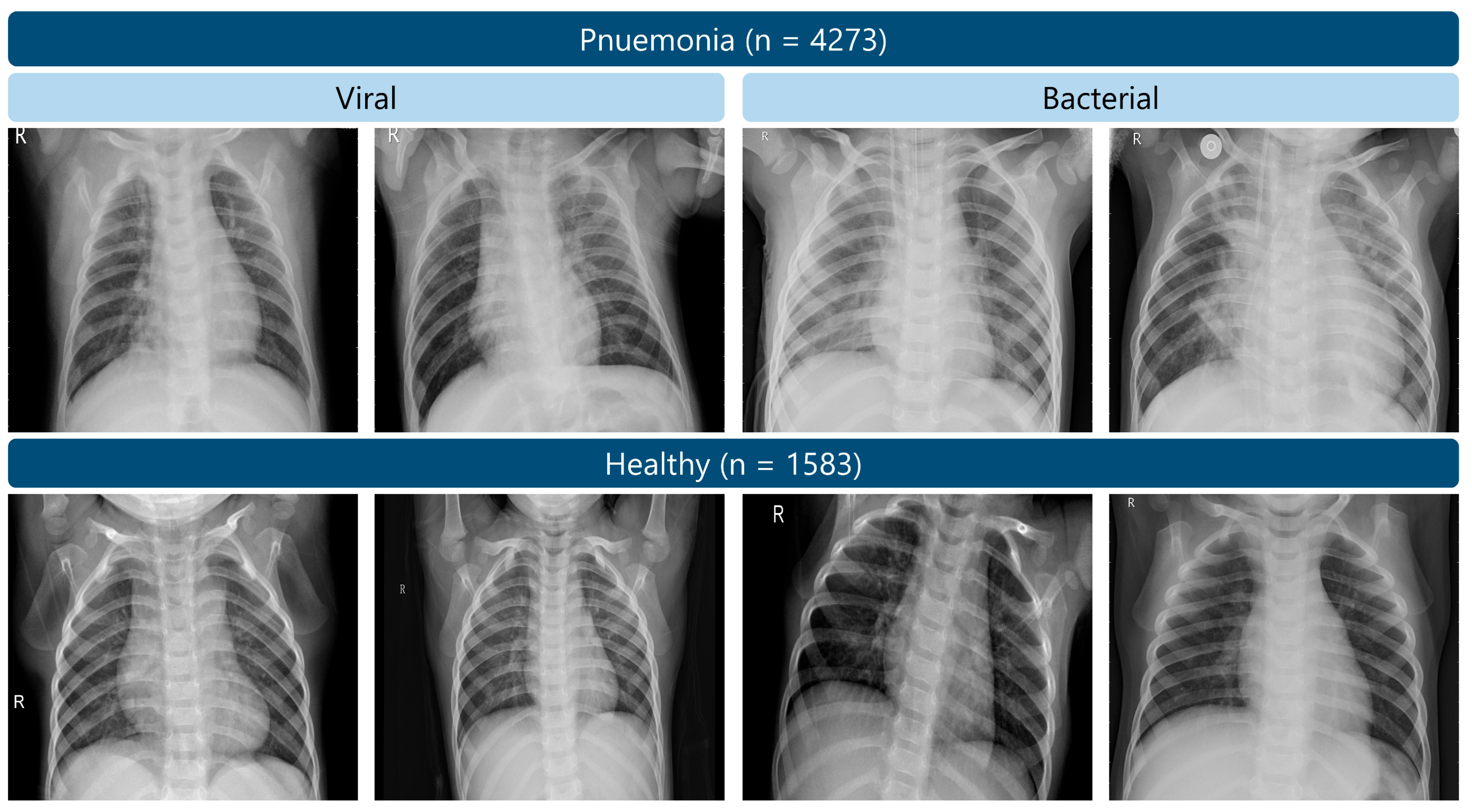 Applsci 15 11824 g002