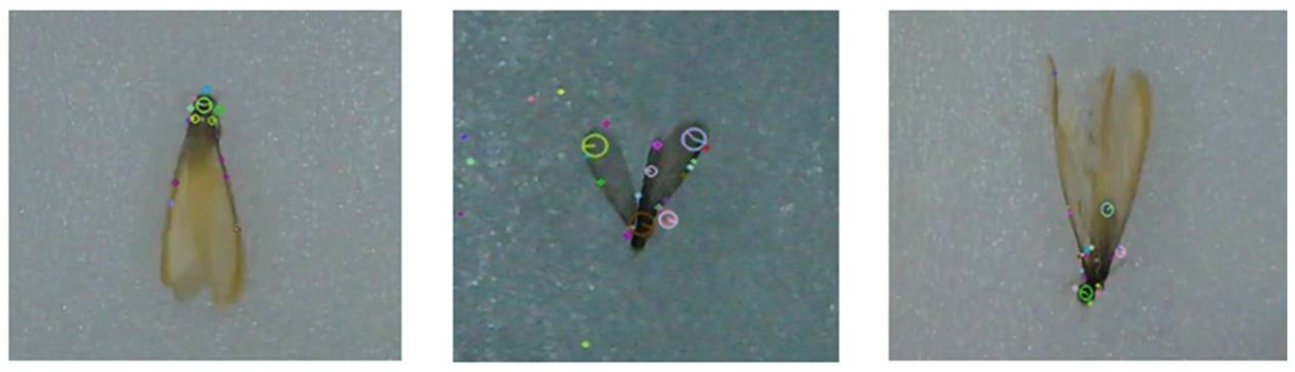 Applsci 15 11838 g008