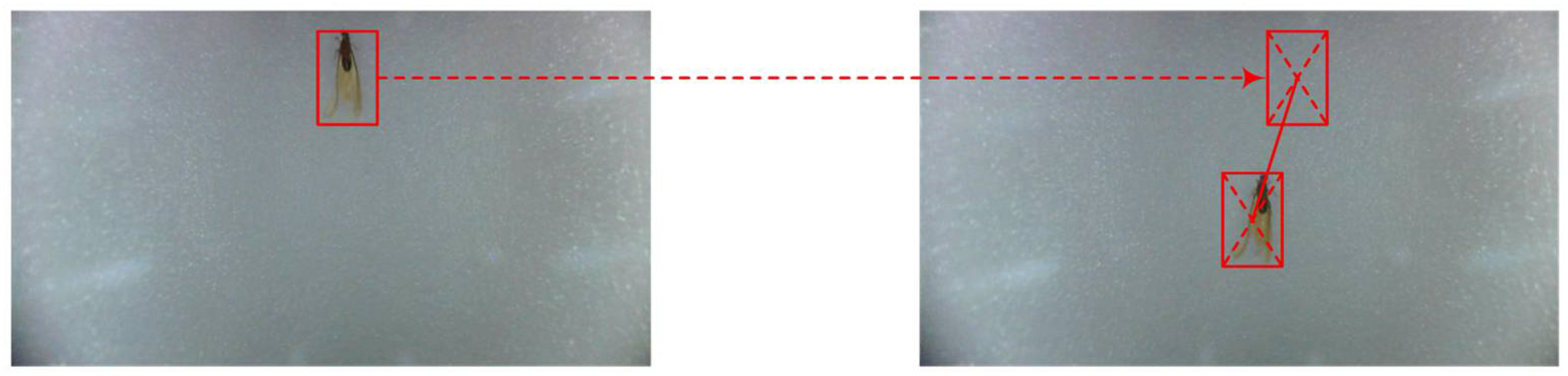 Applsci 15 11838 g009