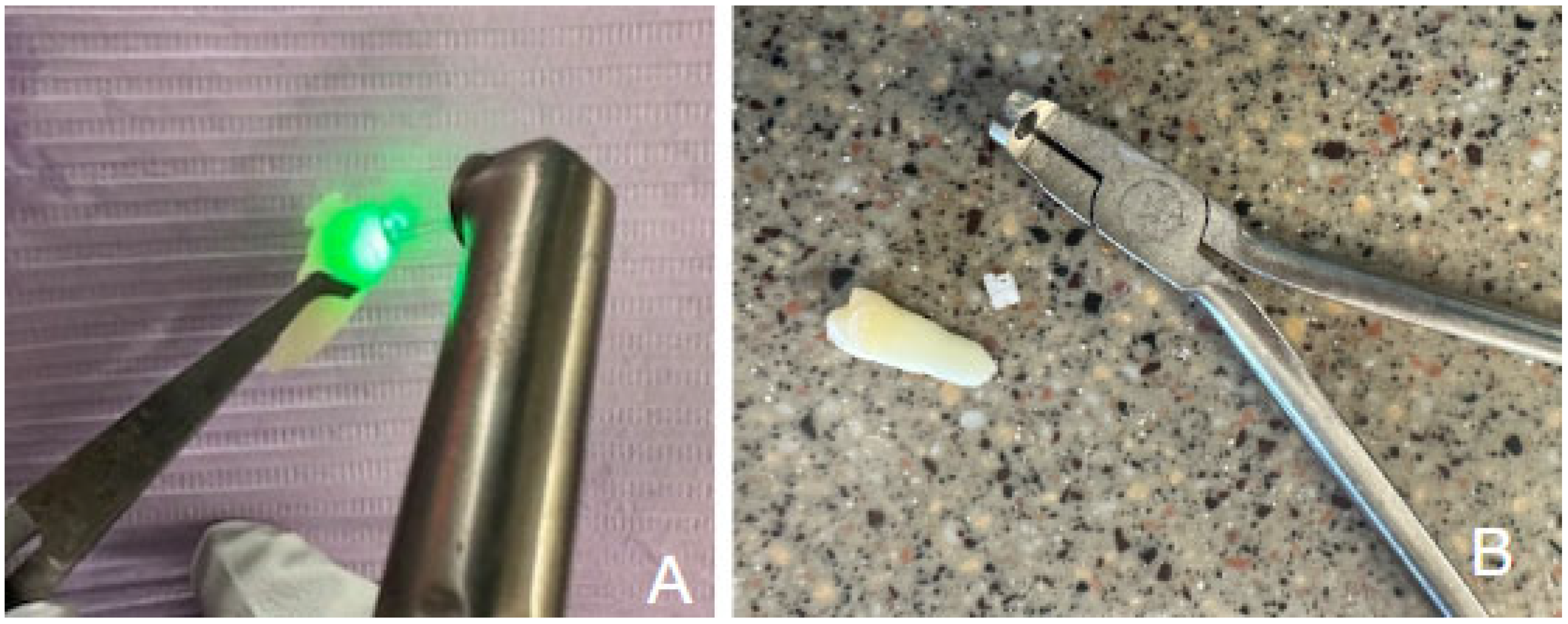 Applsci 15 11844 g001