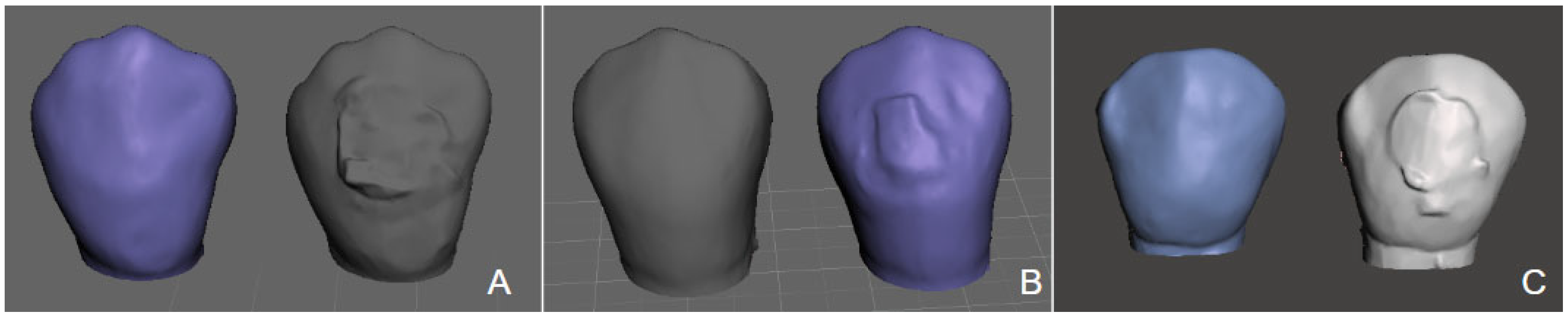 Applsci 15 11844 g002