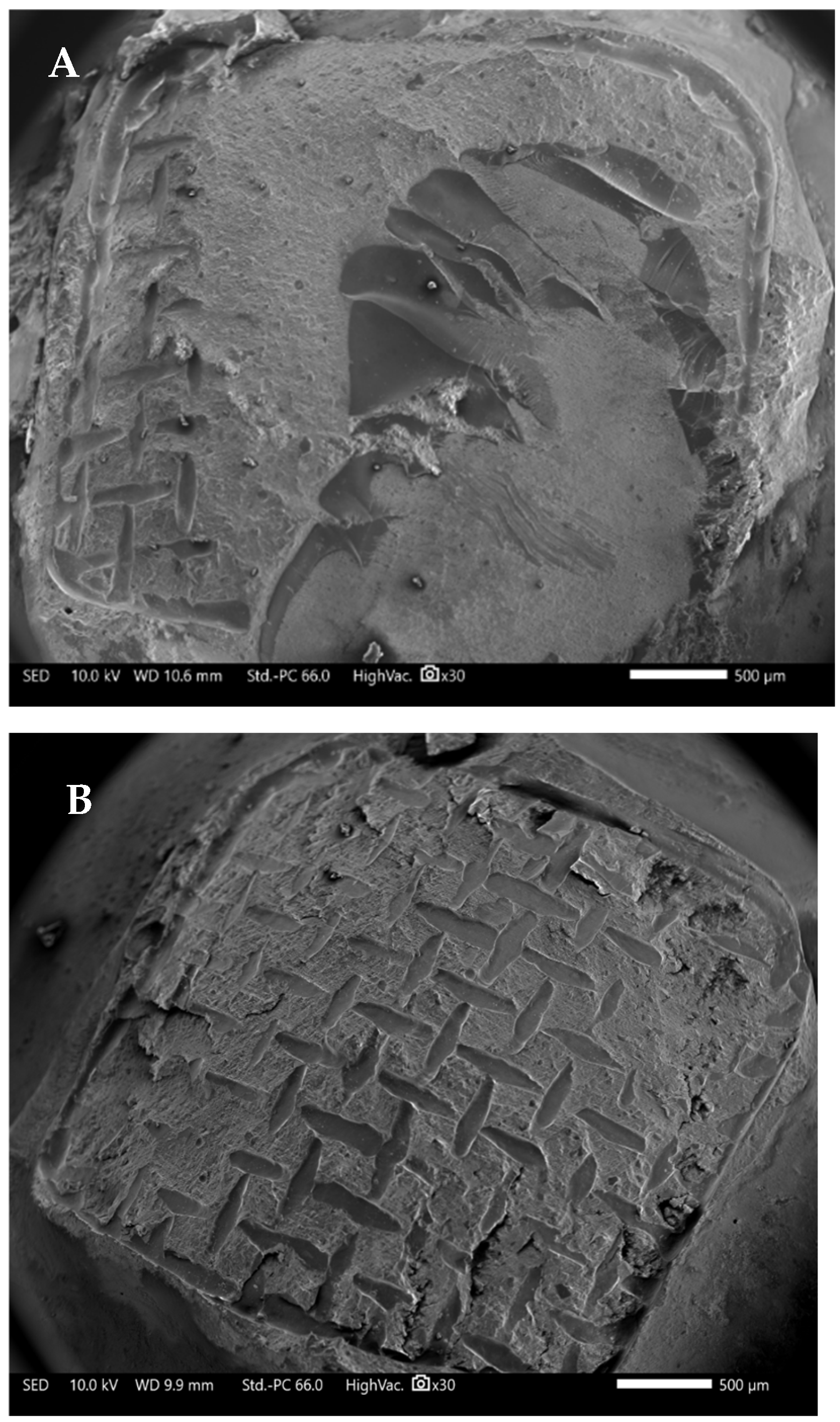 Applsci 15 11844 g003