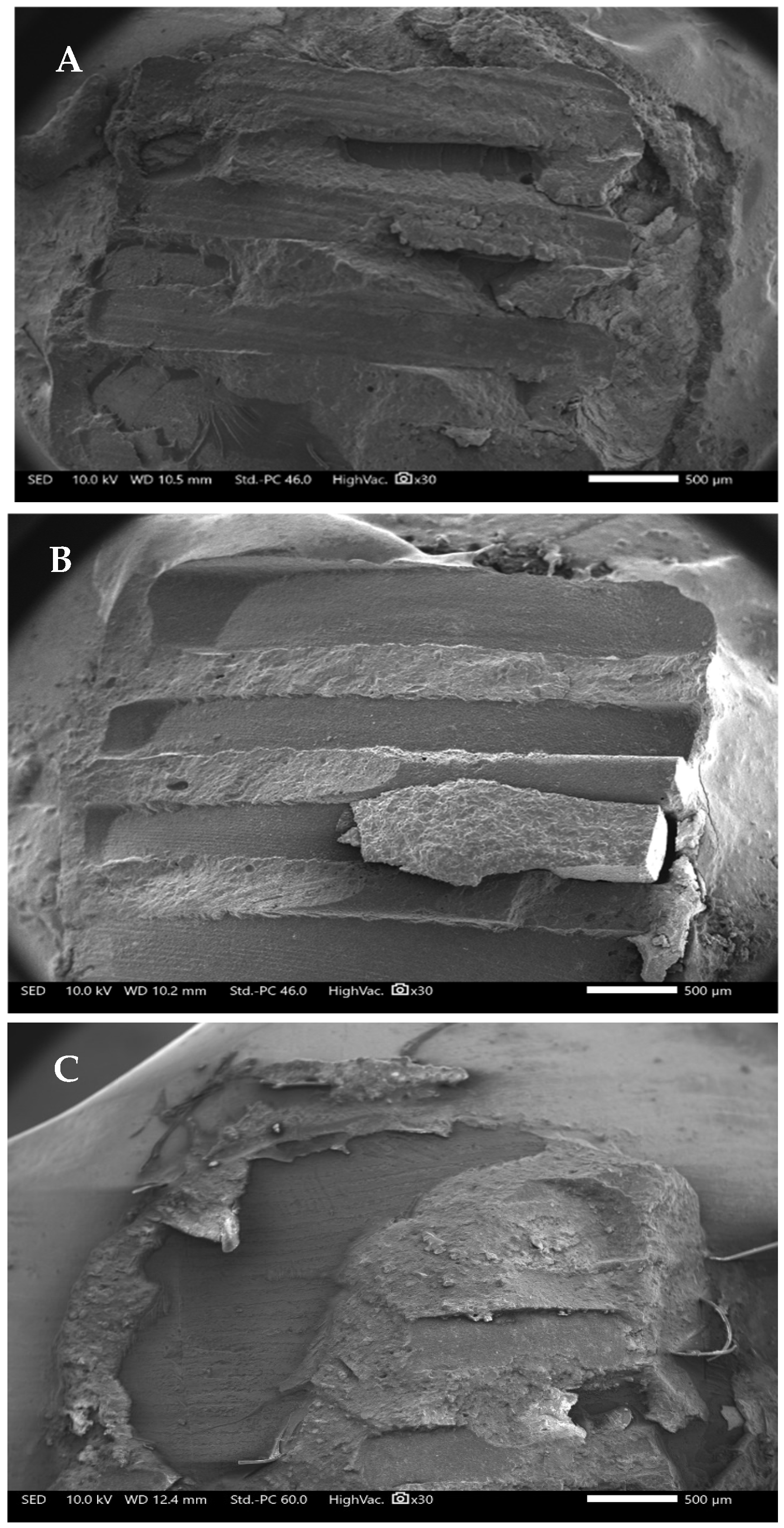 Applsci 15 11844 g004