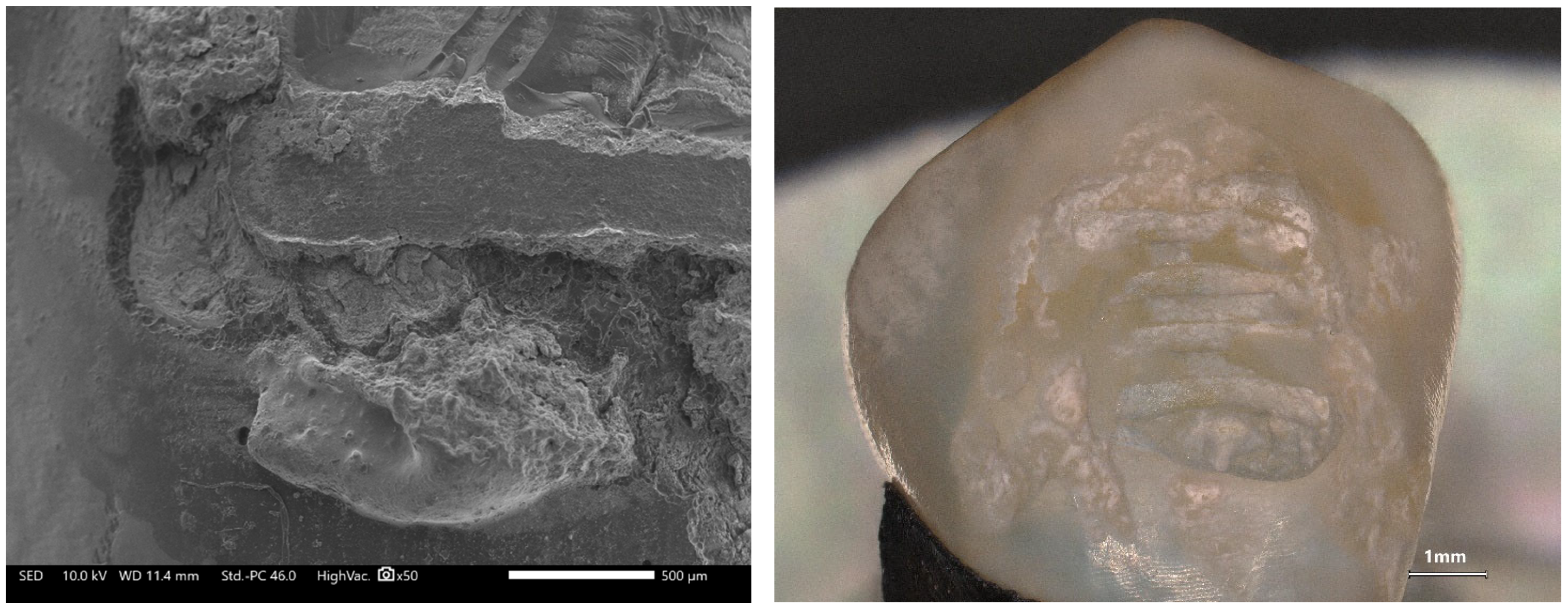 Applsci 15 11844 g005