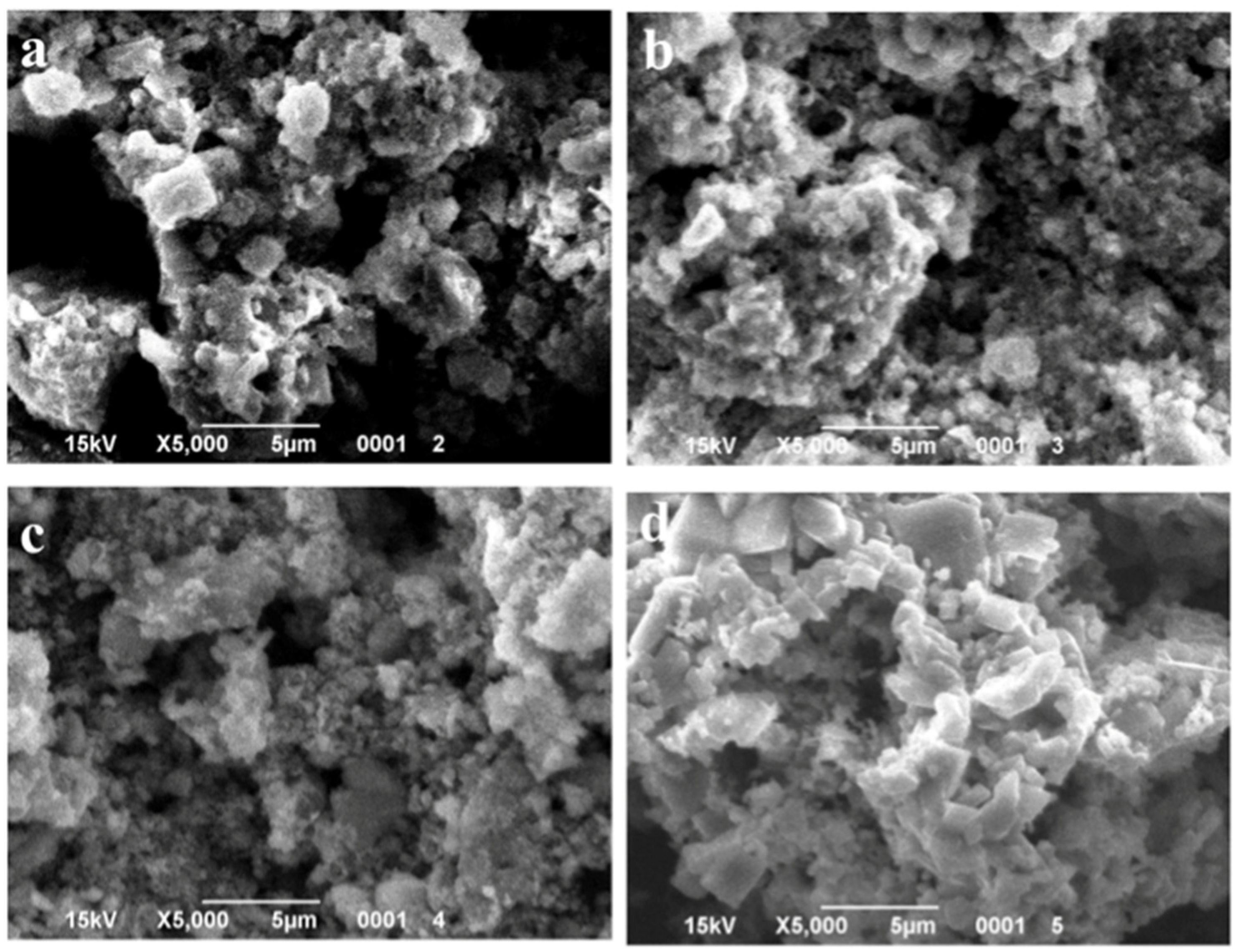 Applsci 15 11847 g007