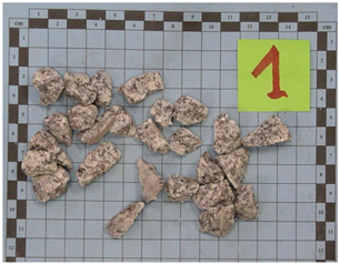 Applsci 15 11878 i002