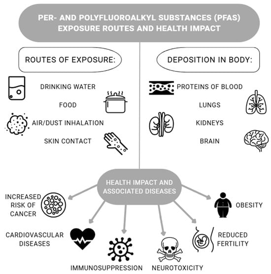 Applsci 15 11884 g002