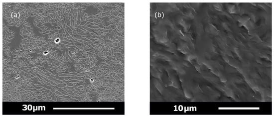 Applsci 15 12129 g0a6