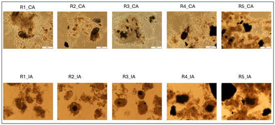 Applsci 15 12410 g0a2