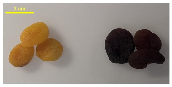 Applsci 15 12750 g001