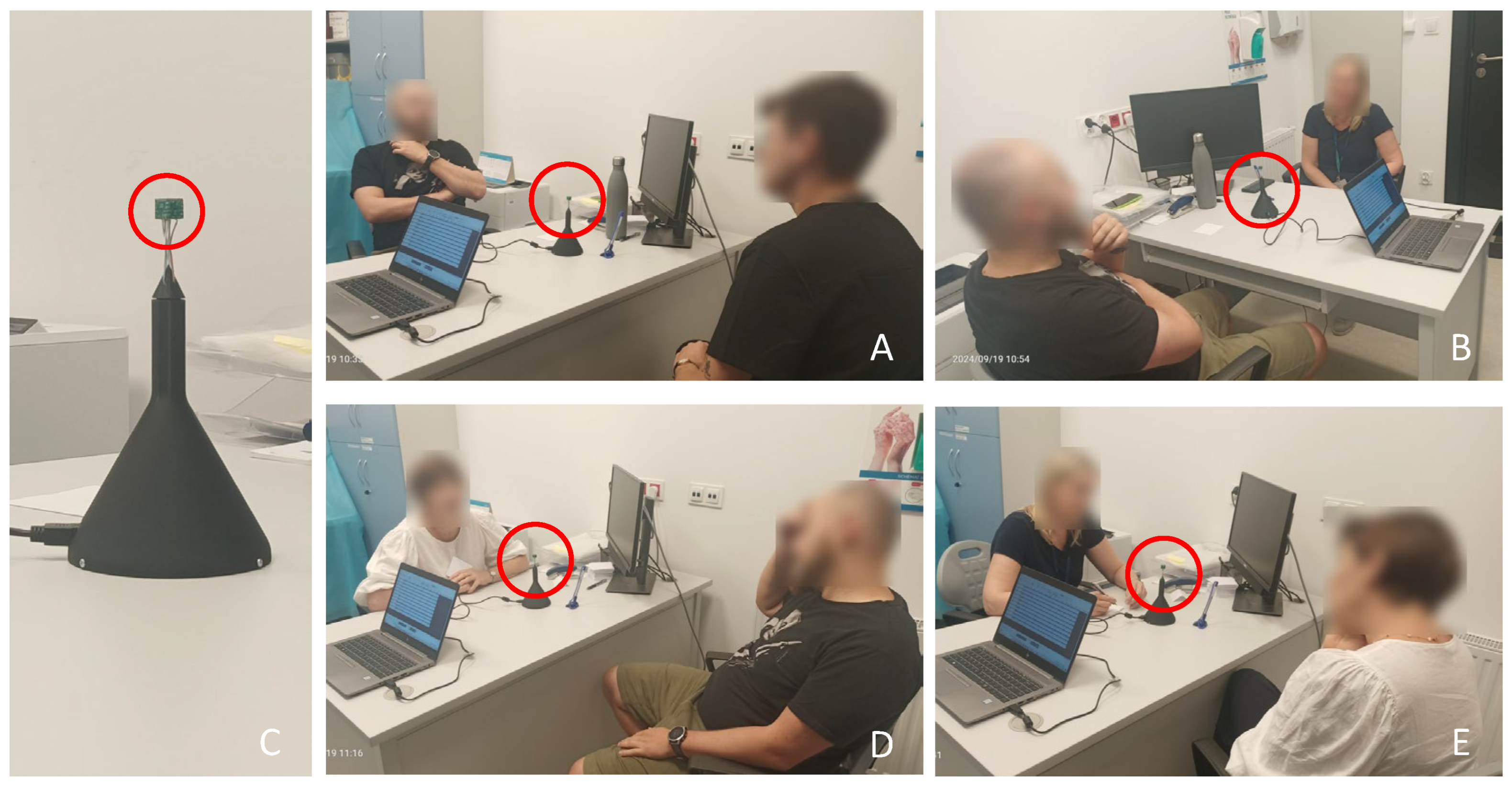 Applsci 15 12780 g002 Applsci 15 12780 g002