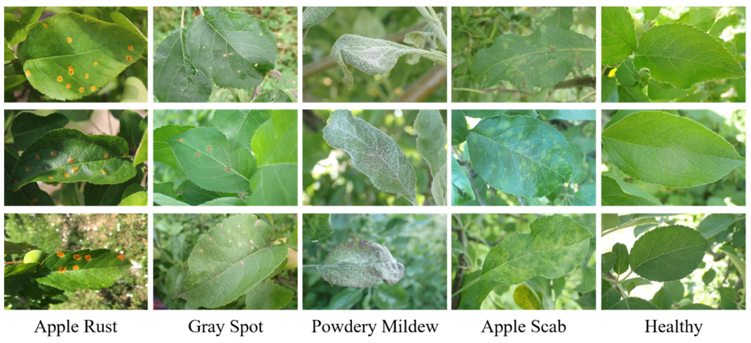 Applsci 15 12890 g001 Applsci 15 12890 g001