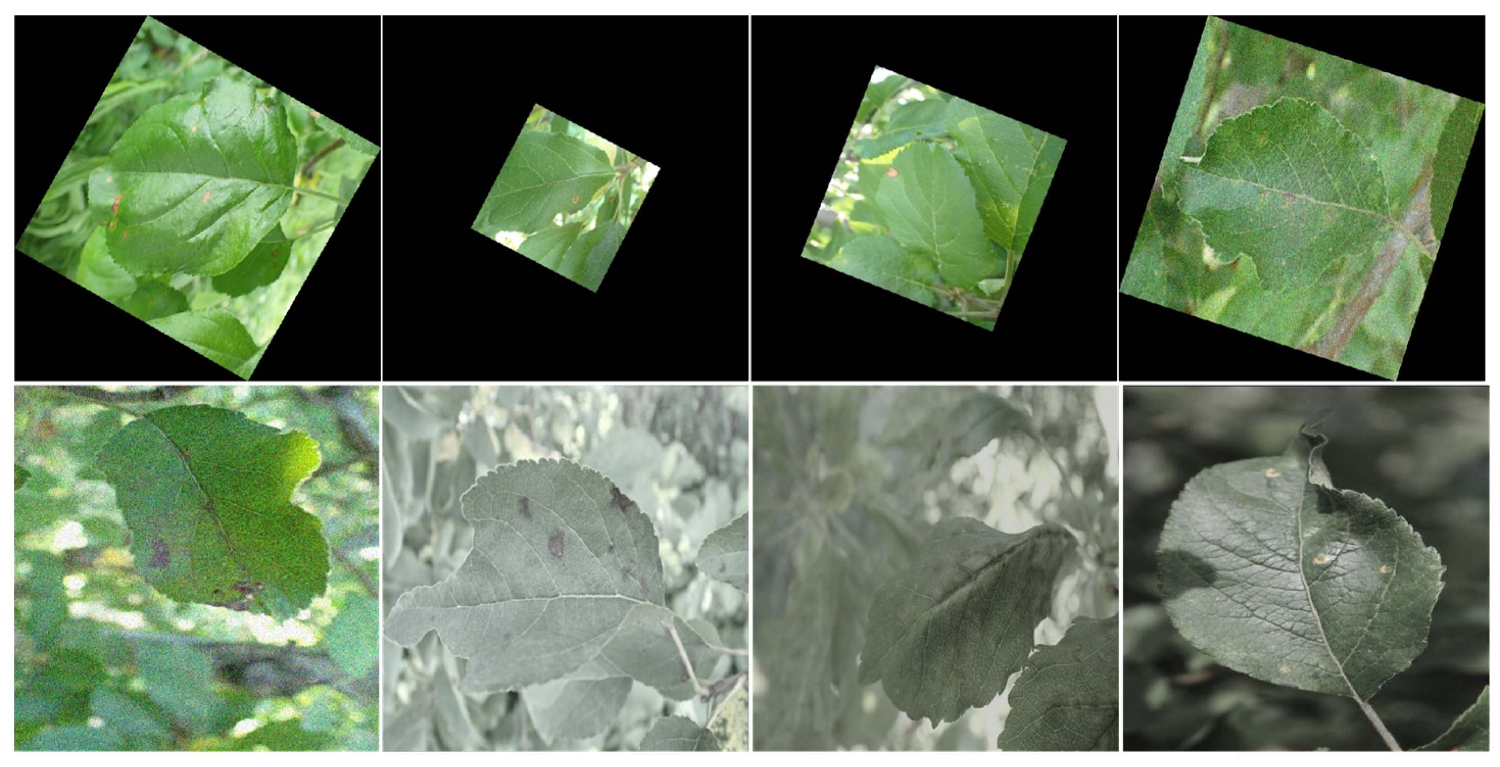 Applsci 15 12890 g013 Applsci 15 12890 g013