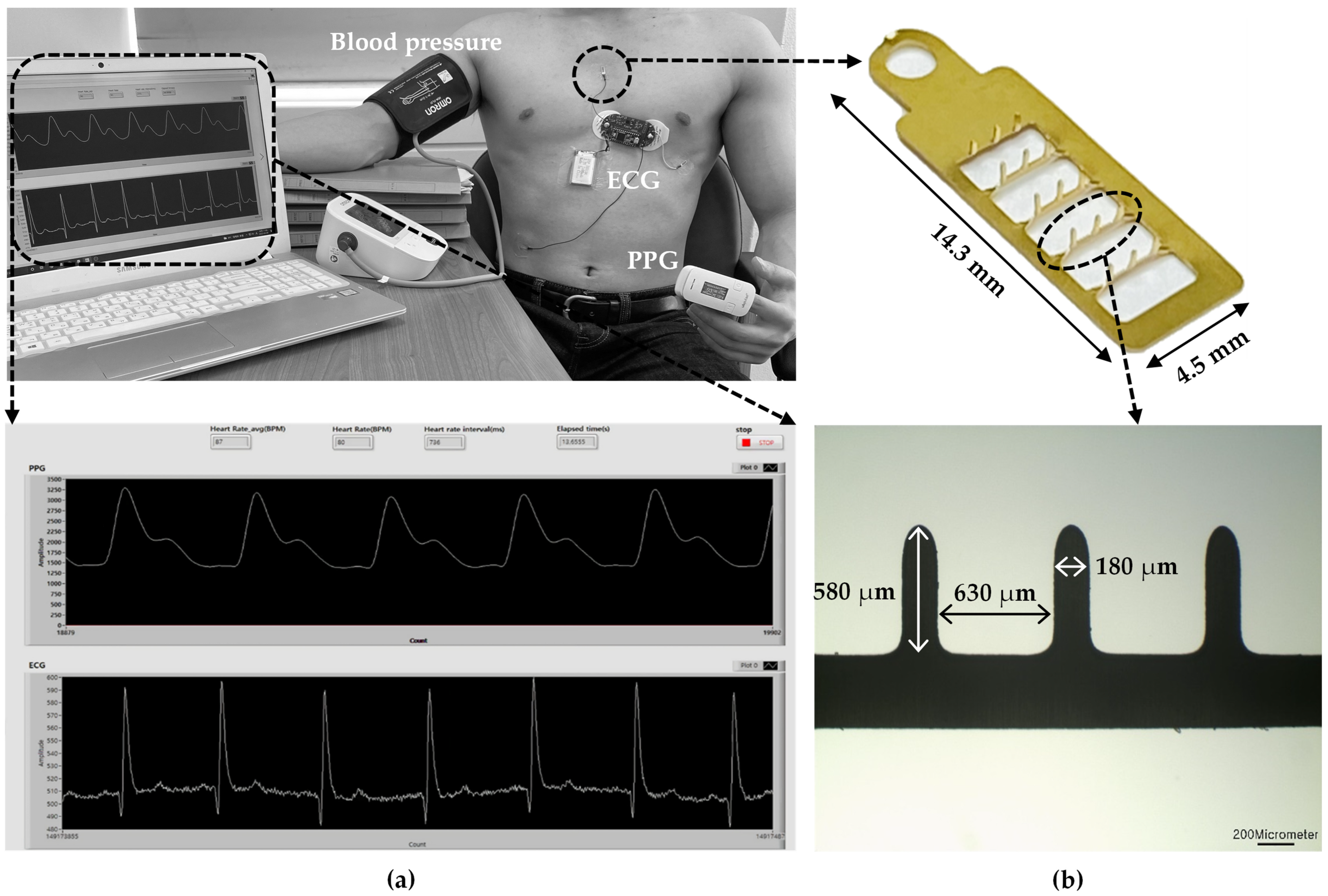 Applsci 16 00035 g001