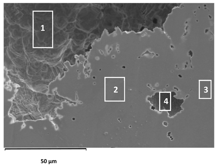 Applsci 16 00109 i001