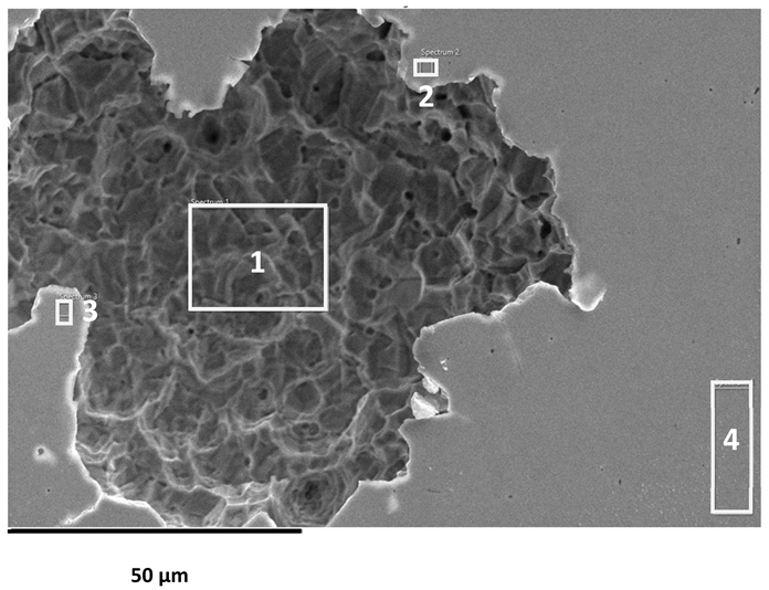 Applsci 16 00109 i002