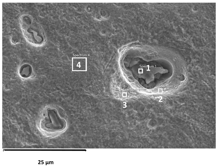 Applsci 16 00109 i003