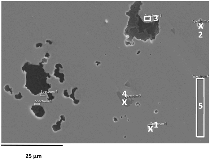 Applsci 16 00109 i004