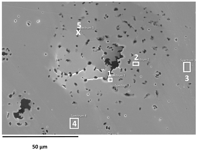 Applsci 16 00109 i005