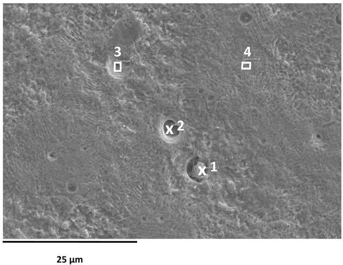 Applsci 16 00109 i006