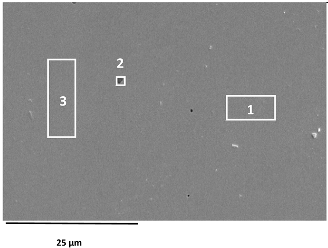 Applsci 16 00109 i007