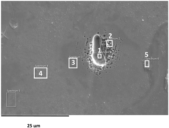 Applsci 16 00109 i008