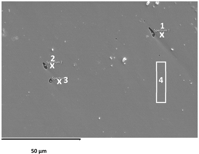 Applsci 16 00109 i009