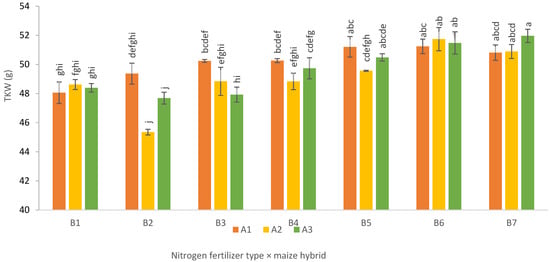 Applsci 16 00113 g002