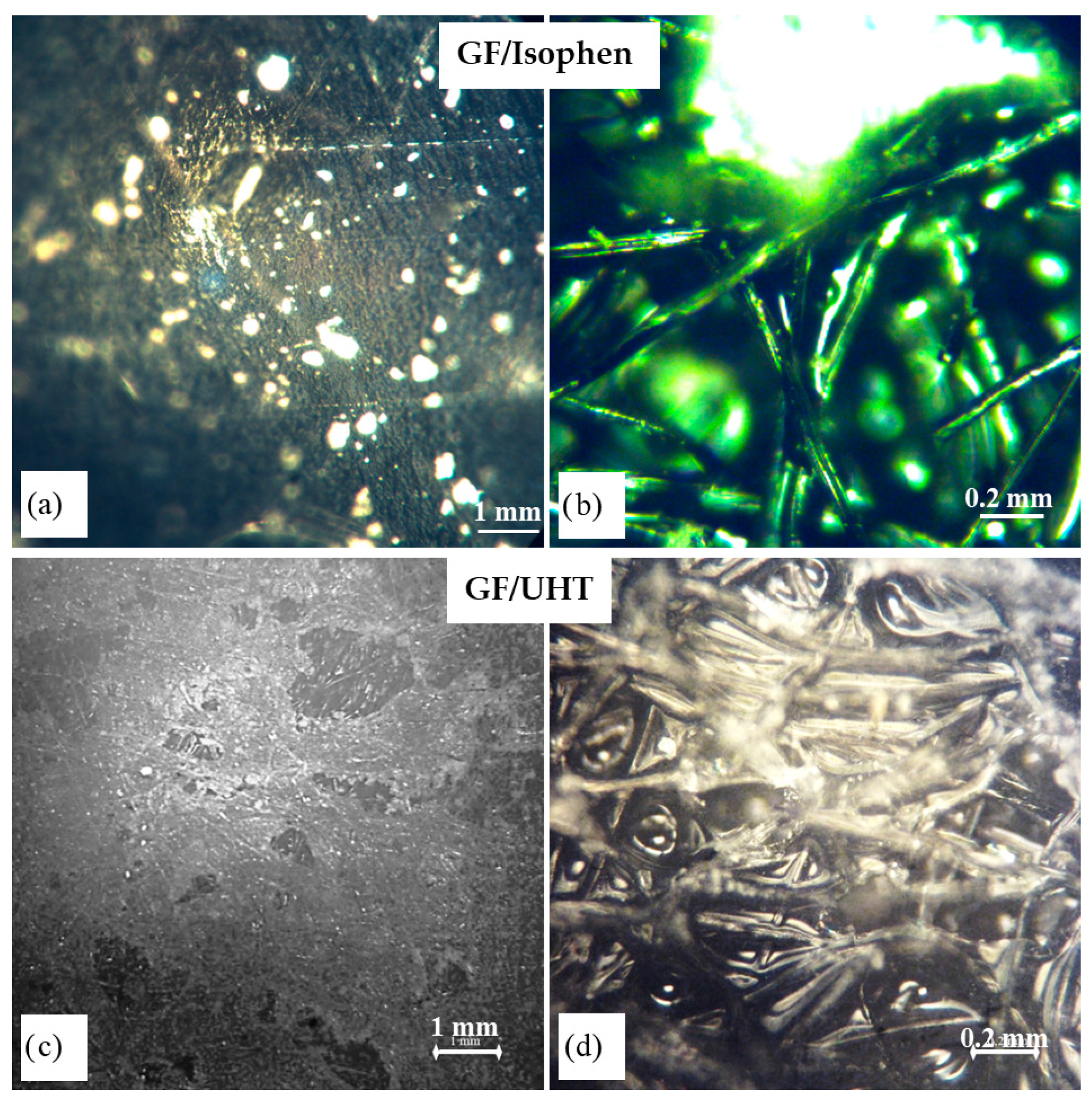 Applsci 16 00185 g002 Applsci 16 00185 g002