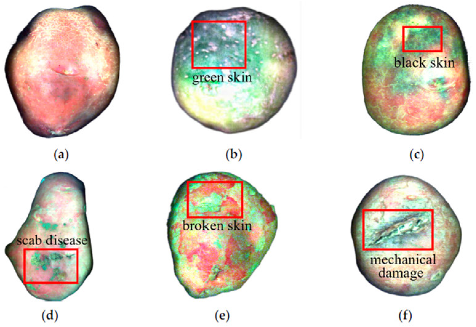 Applsci 16 00190 g003 Applsci 16 00190 g003