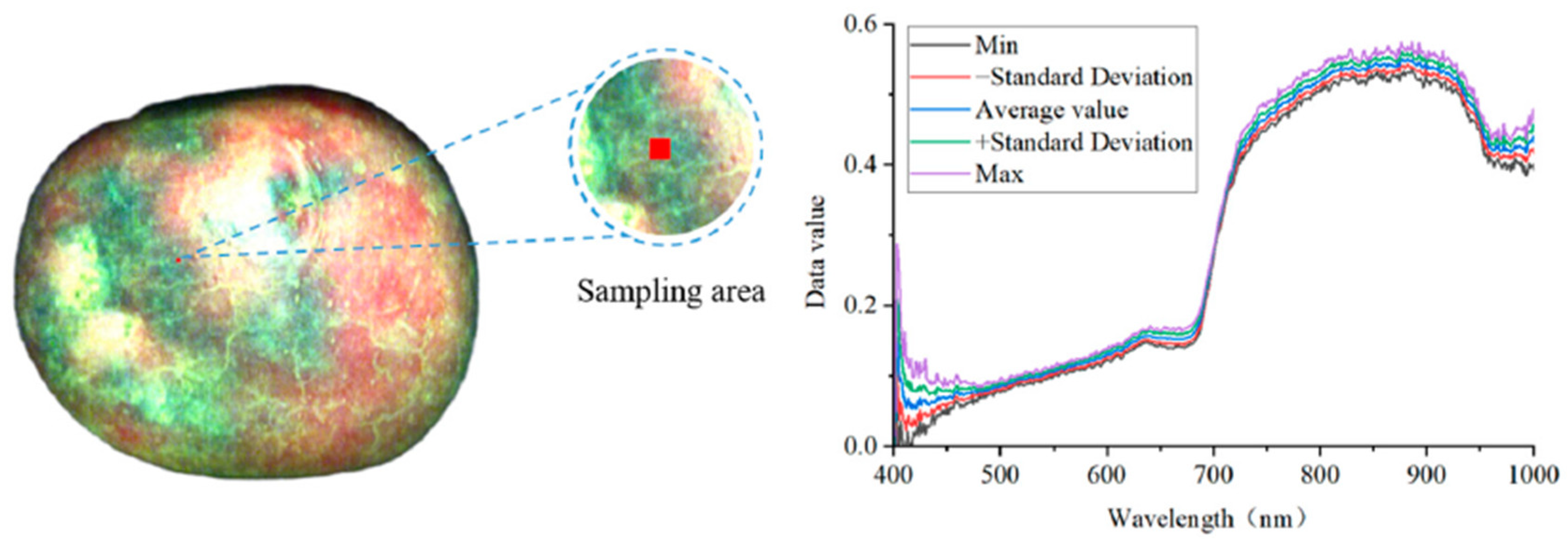 Applsci 16 00190 g004 Applsci 16 00190 g004