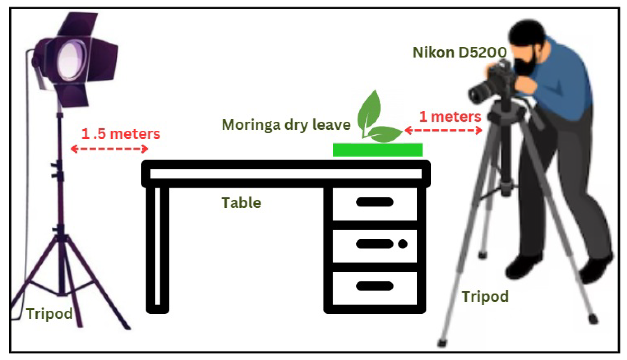Applsci 16 00239 g003