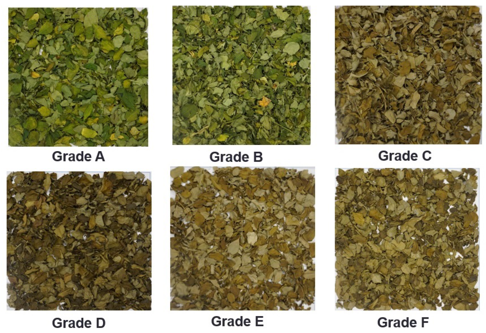 Applsci 16 00239 g004