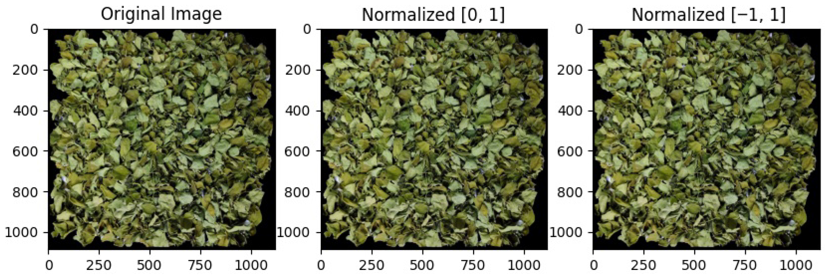 Applsci 16 00239 g005