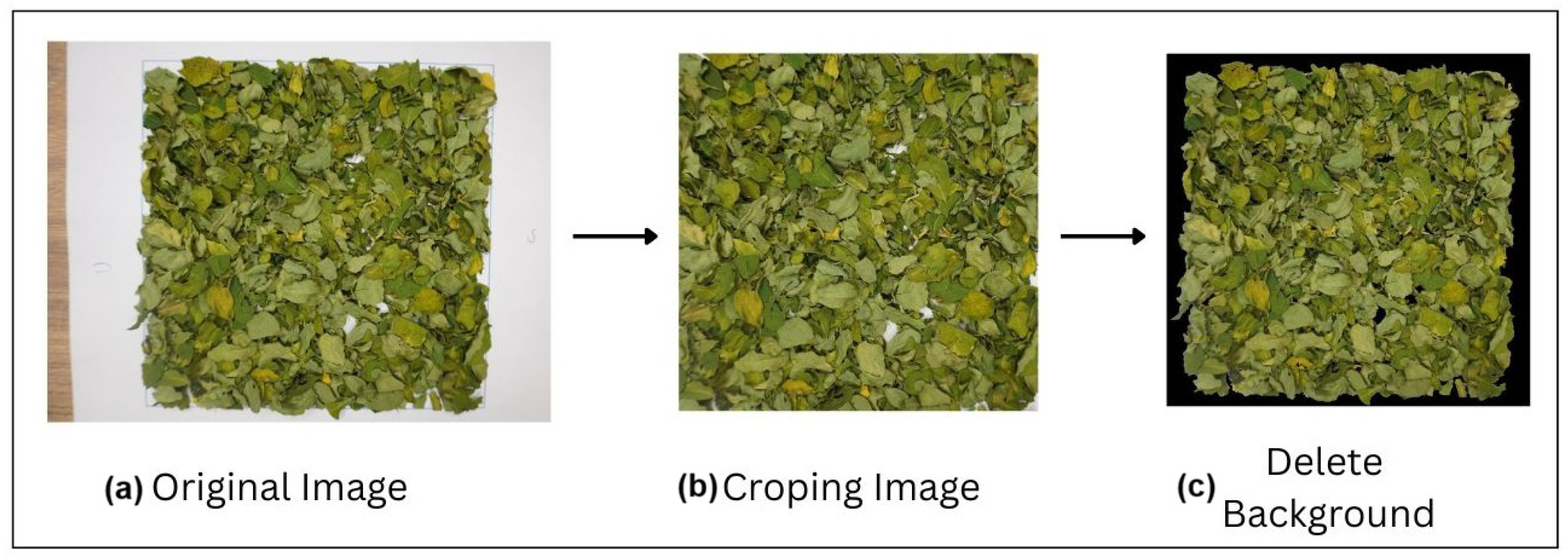 Applsci 16 00239 g006