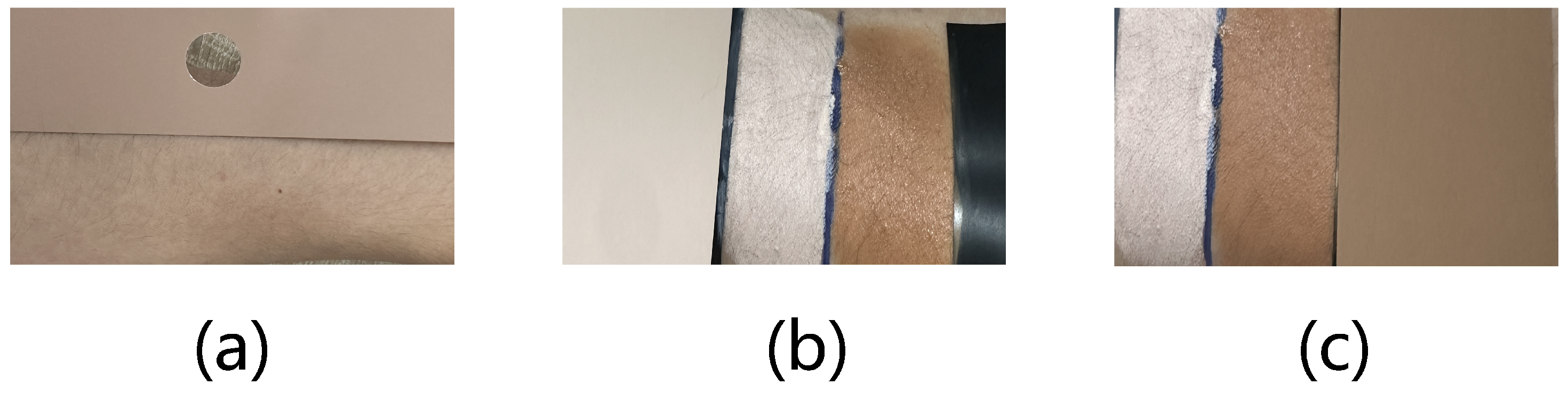 Applsci 16 00314 g009