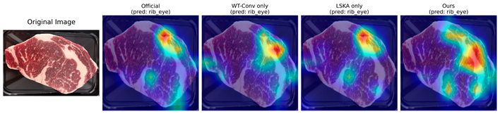 Applsci 16 00332 i002