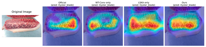 Applsci 16 00332 i004