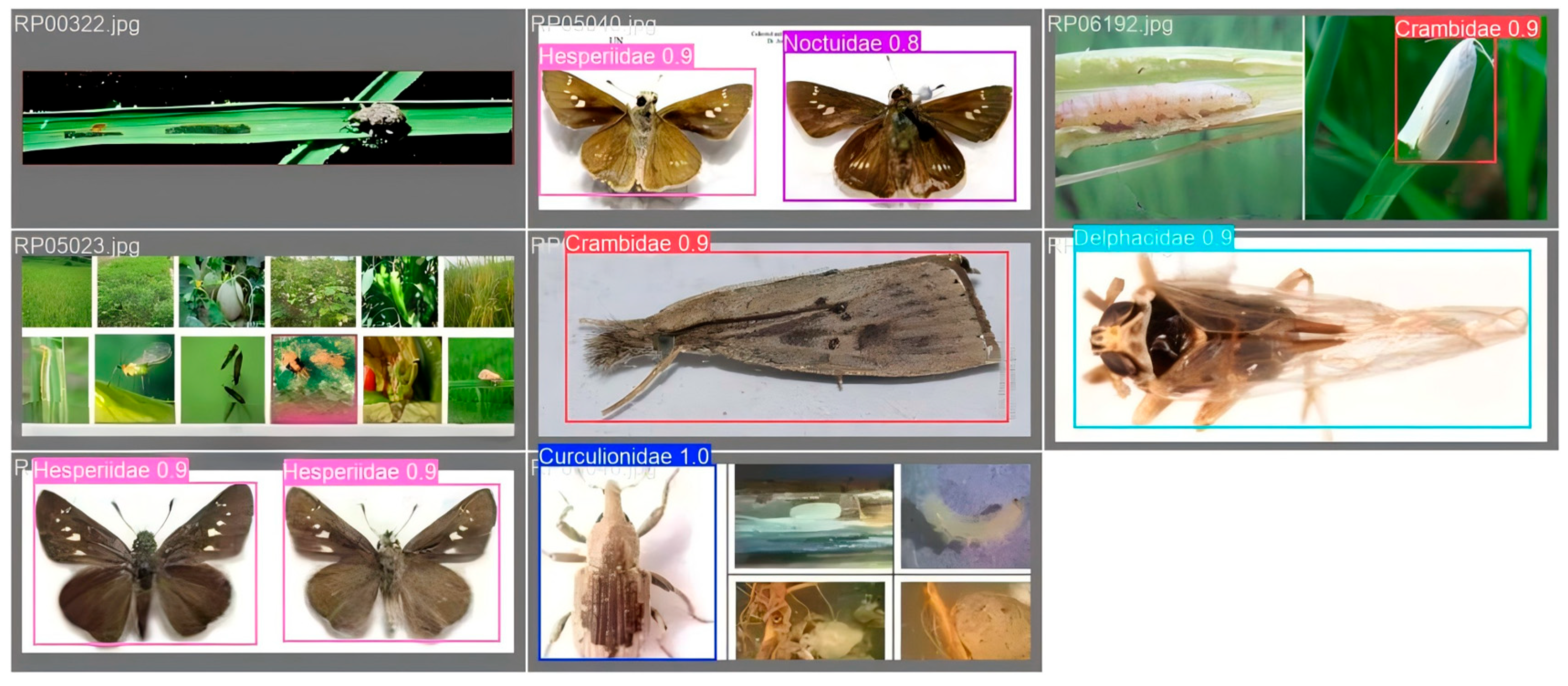 Applsci 16 00352 g020 Applsci 16 00352 g020