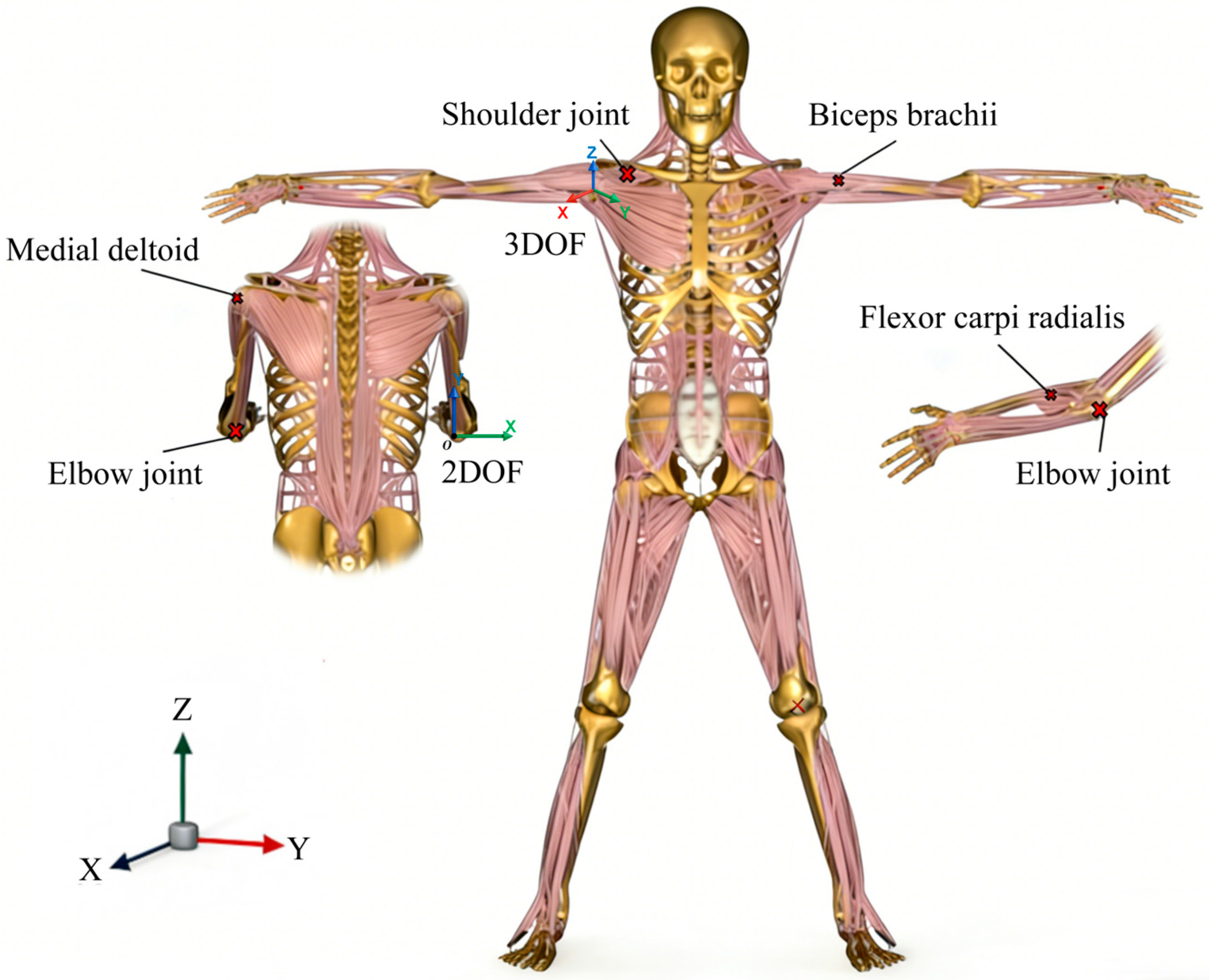 Applsci 16 00411 g001