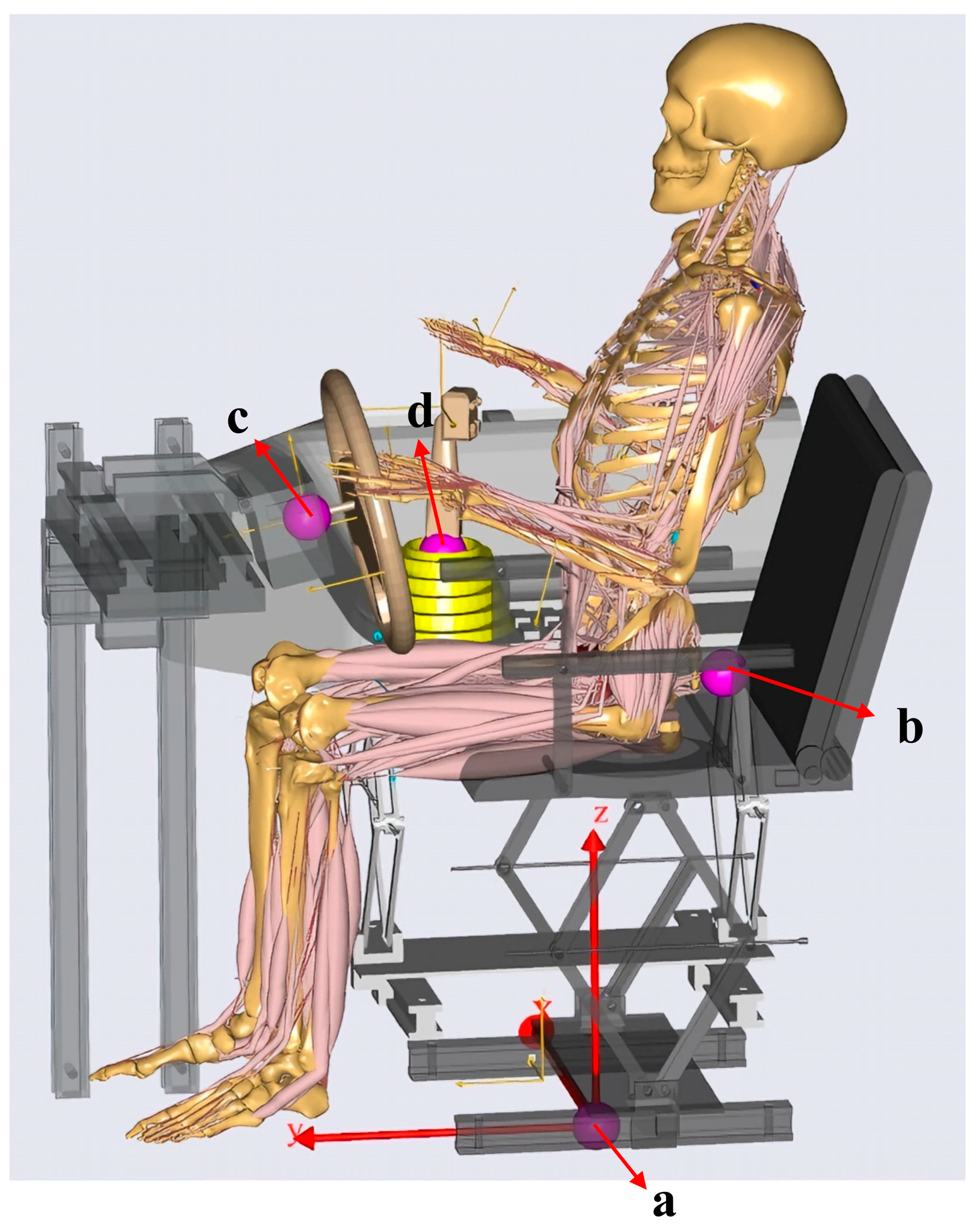 Applsci 16 00411 g003